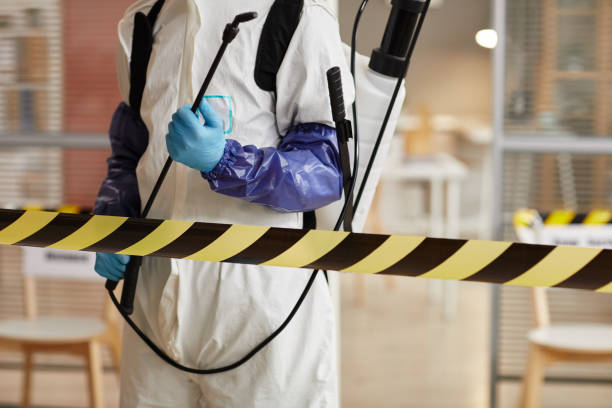 Professional Odor Removal technician working in Irene, SD